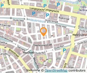 Bekijk kaart van Janeck Klus  in Leiden