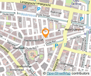 Bekijk kaart van Silver Bazar  in Leiden
