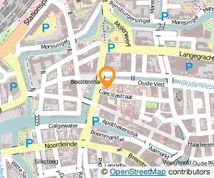 Bekijk kaart van Pim Mol  in Leiden
