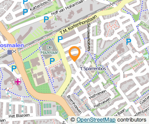 Bekijk kaart van Ley Tyranno  in Rosmalen