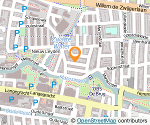 Bekijk kaart van Bram van Tongeren  in Leiden