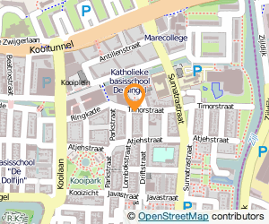 Bekijk kaart van Naomi Plugge  in Leiden