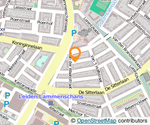 Bekijk kaart van Dataflair Webdesign  in Leiden