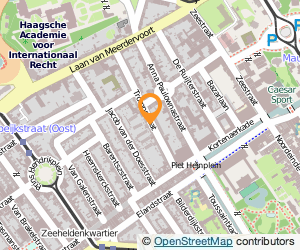 Bekijk kaart van Dizzy Duck B.V. in Den Haag