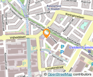 Bekijk kaart van Wolfslag B.V. in Leiden