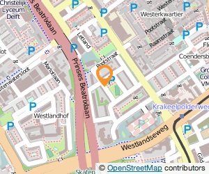 Bekijk kaart van Greta Verschoor  in Delft