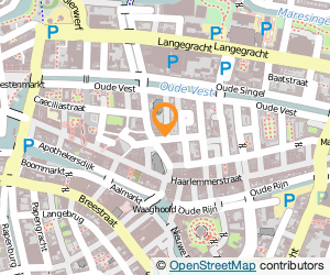 Bekijk kaart van Dimarjan LLC  in Leiden