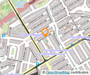 Bekijk kaart van cadtable  in Den Haag