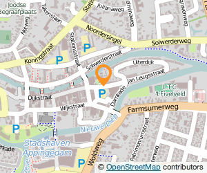 Bekijk kaart van Brasserie 'De Koning van Groningen' in Appingedam