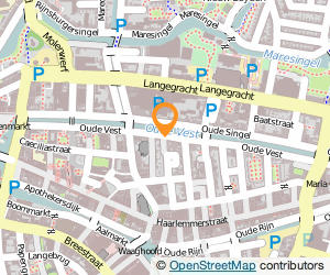 Bekijk kaart van Restaurant Pizzeria Pinoccio  in Leiden