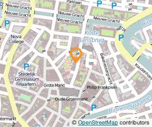 Bekijk kaart van Plussen & Minnen in Haarlem