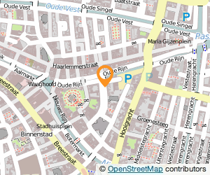 Bekijk kaart van Sirius Training & Advies B.V.  in Leiden