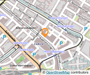 Bekijk kaart van Nico Adriaans Stichting  in Rotterdam