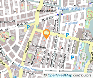 Bekijk kaart van Dinosaur Consultancy  in Leiden