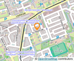 Bekijk kaart van Ton Persoon  in Den Haag