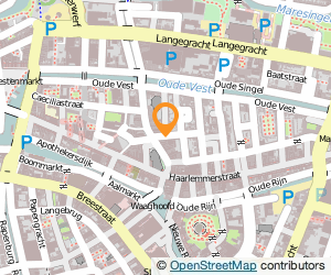 Bekijk kaart van Bureau Pepijn, theaterwerkzaamheden in Leiden