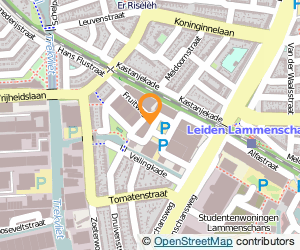 Bekijk kaart van Cogency  in Leiden