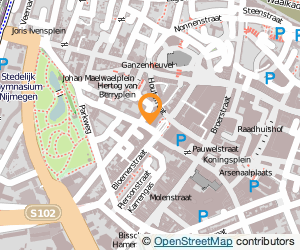 Bekijk kaart van Toko Palee in Nijmegen