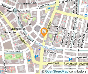 Bekijk kaart van Huurdersvereniging Bres  in Leiden