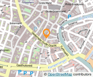 Bekijk kaart van Hopeful Star Traditional Chinese Medicine in Haarlem