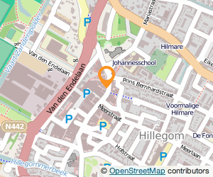 Bekijk kaart van Firma D.H.G. Langeler & Zonen  in Hillegom