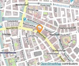 Bekijk kaart van Spinola Bodyart  in Leiden