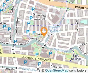 Bekijk kaart van Janneke van Amsterdam  in Leiden