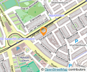 Bekijk kaart van Fysio- en Manuele Therapie Salomons in Den Haag