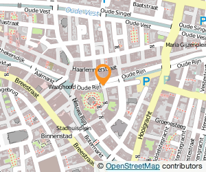 Bekijk kaart van Stichting Thuis in Taal  in Leiden