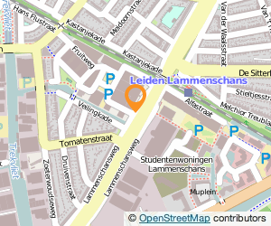 Bekijk kaart van Boedelbak verhuurlocatie in Leiden