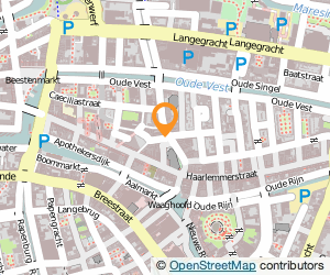 Bekijk kaart van Dejavu Lounge in Leiden