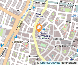 Bekijk kaart van Miyako Tea & Sushi  in Haarlem