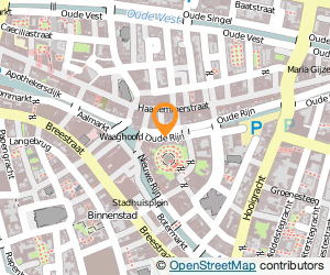 Bekijk kaart van Dosa  in Leiden