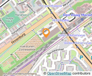Bekijk kaart van CGG Services (NL) B.V.  in Den Haag