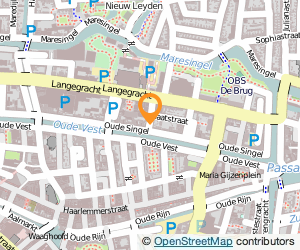 Bekijk kaart van Lucid Pixel  in Leiden