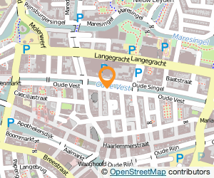 Bekijk kaart van Schildersbedrijf A.P. Verwer en Zoon in Leiden