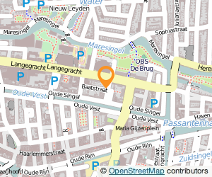 Bekijk kaart van Raap Interim  in Leiden