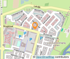 Bekijk kaart van Viaprint  in Vianen (Utrecht)