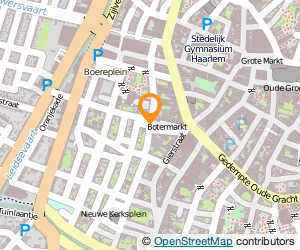 Bekijk kaart van Dophertje & Zo  in Haarlem