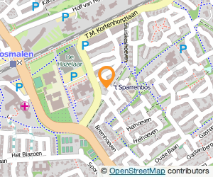 Bekijk kaart van Beheermaatschappij Janssens-van den Hoek B.V. in Rosmalen
