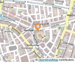 Bekijk kaart van RAB Rottier Advies en Beheer  in Leiden
