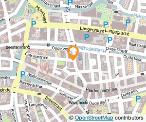 Bekijk kaart van Fiori Bloemen in Leiden