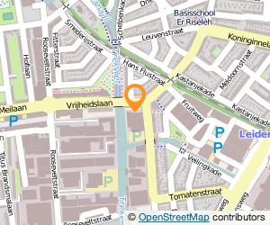 Bekijk kaart van Praxis in Leiden