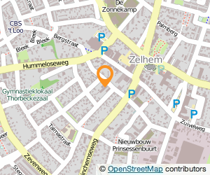 Bekijk kaart van Automobiel- en Taxibedrijf Reindsen in Zelhem
