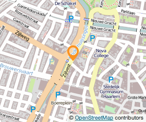 Bekijk kaart van Café de Zwaan in Haarlem