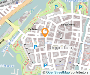 Bekijk kaart van W.F. Fels en Co.  in Gorinchem