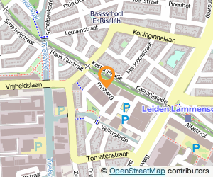 Bekijk kaart van Nifa B.V.  in Leiden