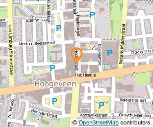 Bekijk kaart van B.V. Van Zuiden  in Hoogeveen