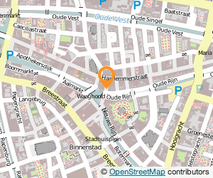Bekijk kaart van SoLow  in Leiden