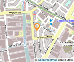 Bekijk kaart van H. Plezier Dakbedekkingen  in Leiden